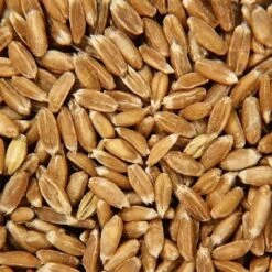 Doudou Bouillotte Efie Canard Coloré 25 Cm Coton Bio Organic ~ Epeautre - Doudou Bio Naturel Efie -Doudou Bio Promos Boutique doudou bouillotte efie canard colore coton bio organic epeautre doudou bio naturel efie 3