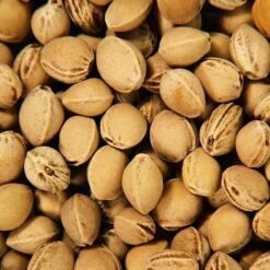 Doudou Bouillotte Efie Noyaux Cerises Ours Brun 39 Cm - Doudou Bio Naturel Efie 7 Doudou Bouillotte Efie Noyaux Cerises Ours Brun 39 Cm - Doudou Bio Naturel Efie -Doudou Bio Promos Boutique doudou bouillotte efie noyaux cerises ours brun doudou bio naturel efie 1 3