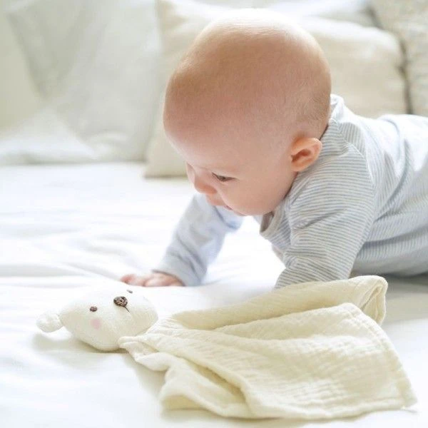 Doudou Lange Mousseline De Coton Bio Ours Albetta® 35cm - Doudou Lange 3 Doudou Lange Mousseline De Coton Bio Ours Albetta® 35cm - Doudou Lange – Image 3