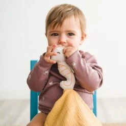 Doudou Plat Lange Coton Bio Hippocampe APunt Barcelona® 30cm - Doudou Bébé Bio 10 Doudou Plat Lange Coton Bio Hippocampe APunt Barcelona® 30cm - Doudou Bébé Bio -Doudou Bio Promos Boutique doudou plat lange coton bio hippocampe apunt barcelona 30cm doudou bebe bio 4