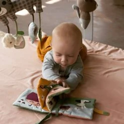 Livre Bébé En Tissu Coccinelle Franck & Fischer® - Livres Bébé 6 Livre Bébé En Tissu Coccinelle Franck & Fischer® - Livres Bébé -Doudou Bio Promos Boutique livre bebe en tissu coccinelle franck fischer livres bebe 1 2