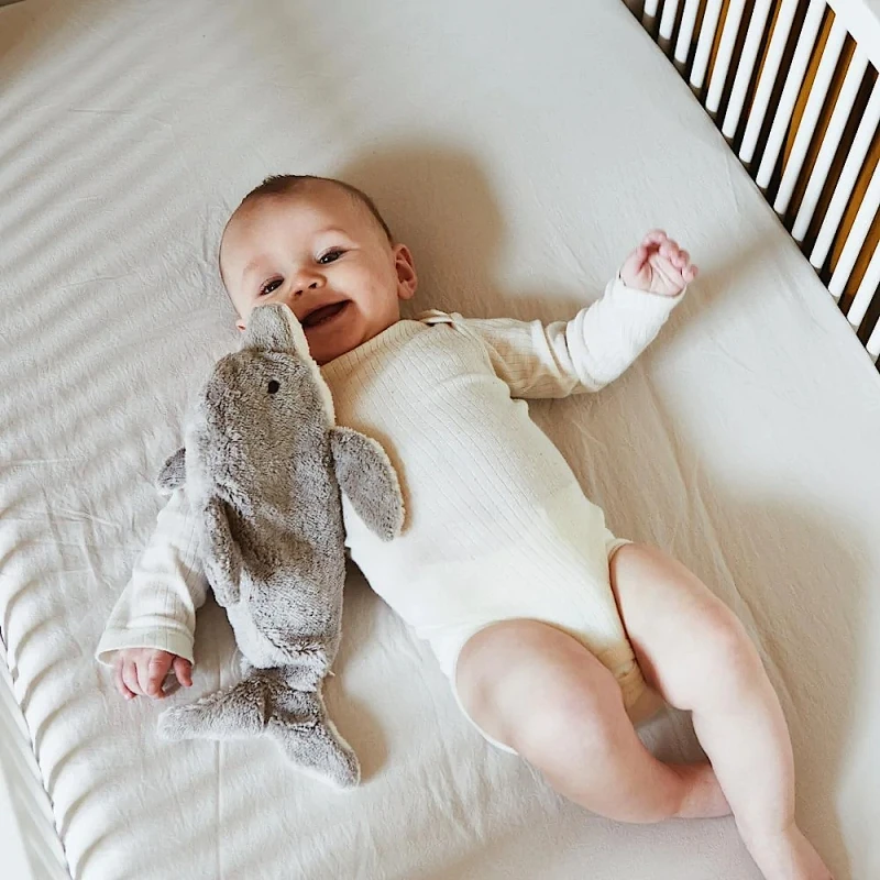 Peluche Bouillotte Dauphin Coton Bio 38 Cm Senger® - Bouillotte Sèche Bio 2 Peluche Bouillotte Dauphin Coton Bio 38 Cm Senger® - Bouillotte Sèche Bio – Image 2