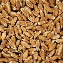 Poupée Bouillotte Épeautre Tissu Éponge & Robe Blanche Bonnet Rayé 28 Cm Efie® Coton Bio - Poupée Naturel Efie -Doudou Bio Promos Boutique poupee bouillotte epeautre tissu eponge robe blanche efie coton bio poupee naturel efie 3